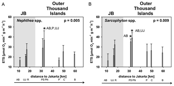 Mean electron transport system (ETS) activity Nephthea spp. (A) and Sarcophyton spp. (B) for sites along the Thousand Islands (x-axis refers to distance to Jakarta).