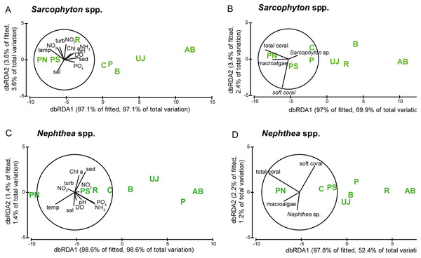 Visualization of the metabolic condition of Sarcophyton spp. and Nephthea spp.