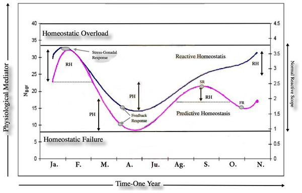 The reactive scope model for guanacos.