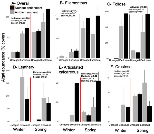 Abundance of macroalgal form-functional group on established communities by treatment in winter and spring.