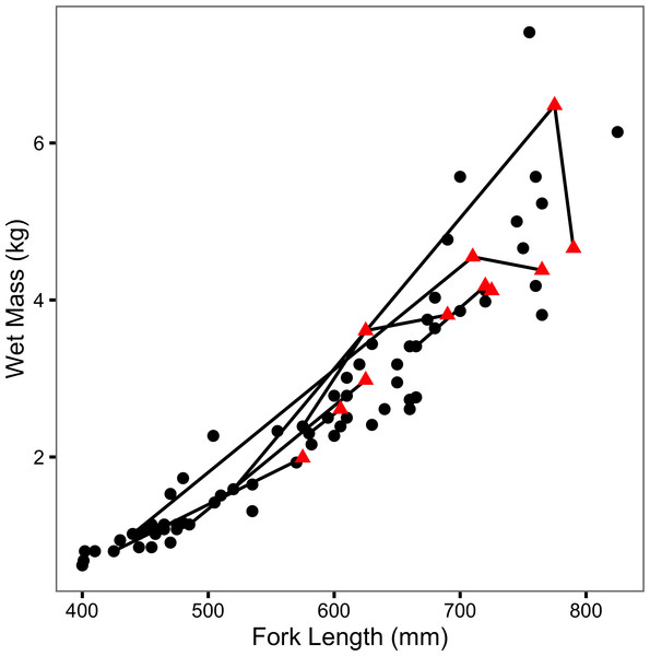 Mass-length scatterplot for Ferox Trout Caught by Angling.