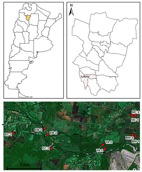 Geographic distribution of sampling sites in Juan Bautista Alberdi Department, Tucumán.