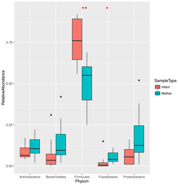 Relative abundance of the major bacterial phyla in mother and infant saliva samples.