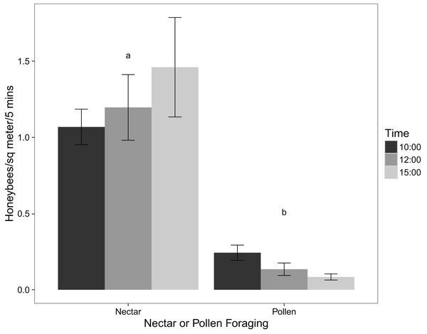 Mean numbers of honeybees foraging for nectar and for pollen at 10:00, 12:00, and 15:00 (mean ± standard error; n = 12).