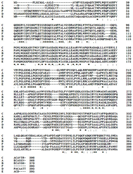 Comparison of EglC protein sequences from different microorganisms.