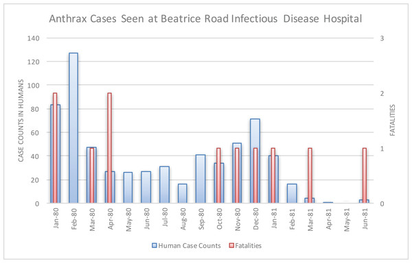 Human anthrax cases seen at the Beatrice Road Infectious Disease Hospital.