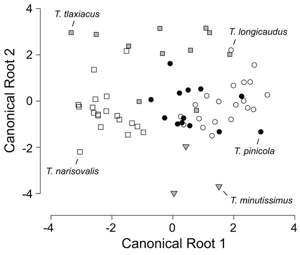 Scatterplot of canonical scores (root 2 vs. root 1) generated by the discriminant function analysis of eight morphological variables in five species of Thorius from their respective type localities.