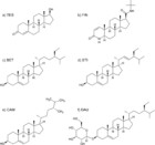 Hypothesis On Serenoa Repens (Bartram) Small Extract Inhibition Of ...