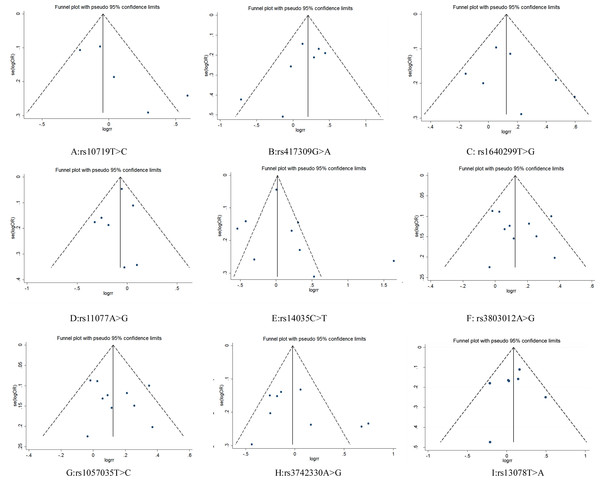 Funnel plot for publication bias test. OR, odds ratio; SE, standard error.