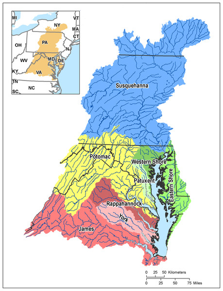 Map of the Chesapeake Bay watershed and Tributary basins.