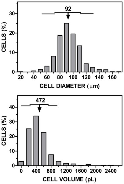 Representative graph of cell size (diameter, volume) vs. cell numbers representation obtained applying the cell extraction procedure described in the text to a sample of epididymal adipose tissue.