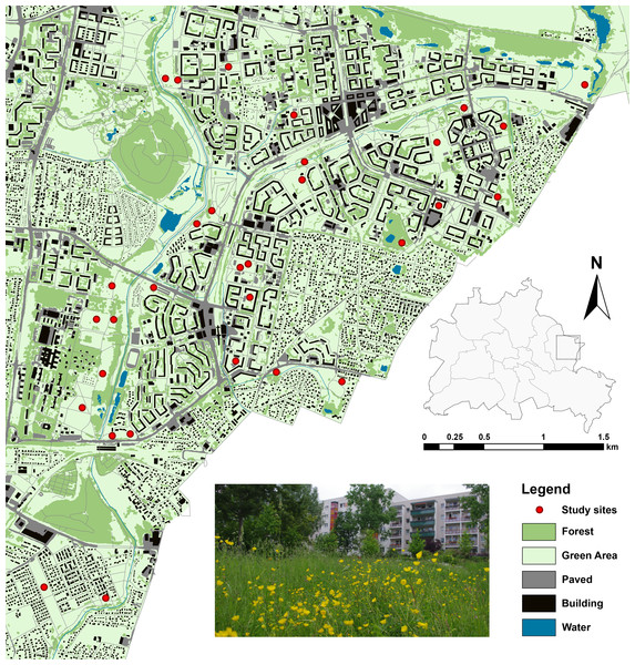 Study sites and landscape characteristics in Berlin/Marzahn-Hellersdorf (map was created on the basis of the Urban and Environmental Information System (UEIS), Berlin Department for Urban Development and the Environment).