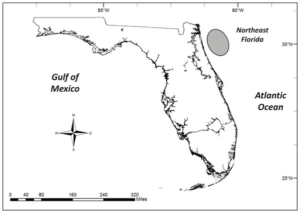 Lionfish collection region (shaded oval) off the coast of northeast Florida.