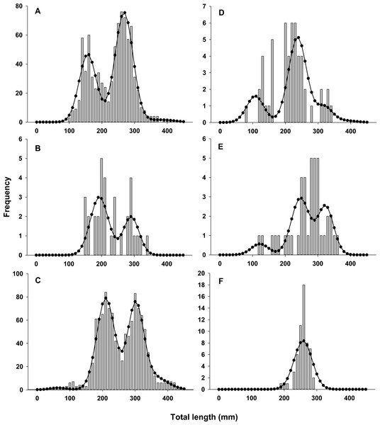Observed length frequency histograms of lionfish collected from northeast Florida used in model parameterization.
