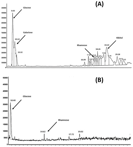 GC–MSD total ion chromatograms for S. pneumoniae serotype 6A/B AND 19F at the purified polysaccharides stage.