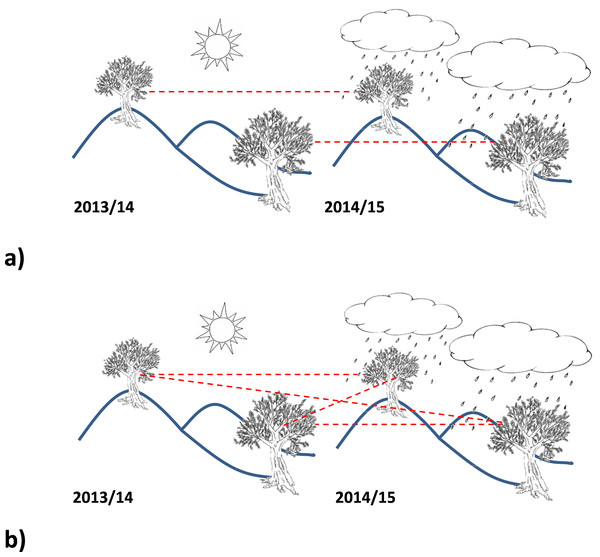 Schematic representation of pairwise (A) and random-wise (B) structure of the considered data in the harvest years comparison.