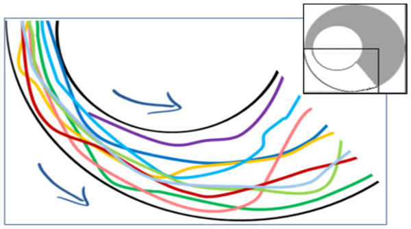 Example trajectories of locusts leaving the funnel (overall 10 nymphs passing within a few seconds through the section marked white in the inset).