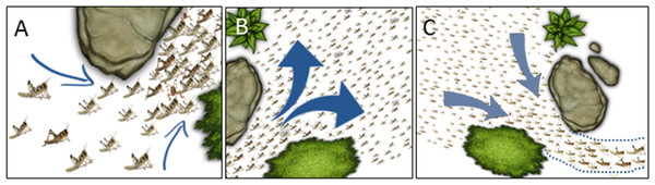 Cartoon showing possible swarm behavior in nature.