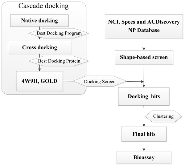 Flow diagram of the shape-based screening protocol and cascade docking procedures.