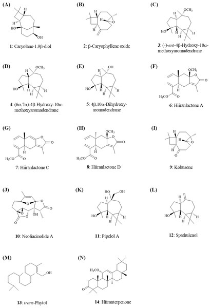 Structures of the secondary metabolites (1–14) from the leaves of N. hiiranensis.