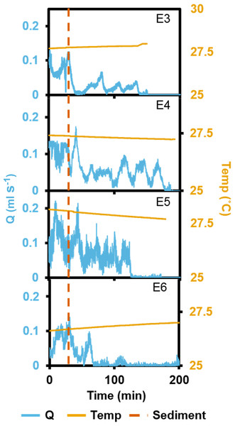 Pumping rates (Q) from four oscula of four separate explants (E3–6) exposed to a single dose of high SSC with ambient temperature (temp) recorded.