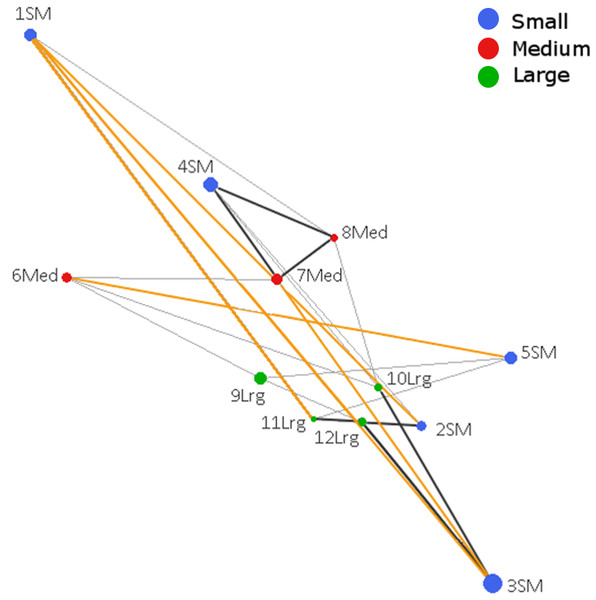 Genetic network obtained from Population Graph for Aphelandra aurantiaca populations at Los Tuxtlas.