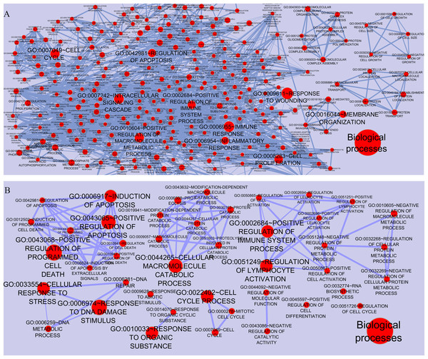 Functional categories of the networks were visualized using the Enrichment map plugin of the Cytoscape.