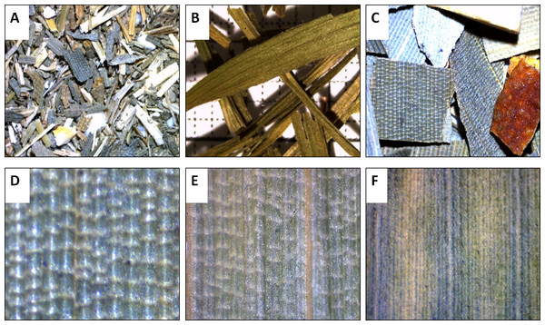 Macroscopic features of bamboo tea products (A–D) and bamboo leaf samples (E and F).