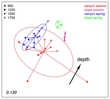 Spatio-temporal Monitoring Of Deep-sea Communities Using Metabarcoding 