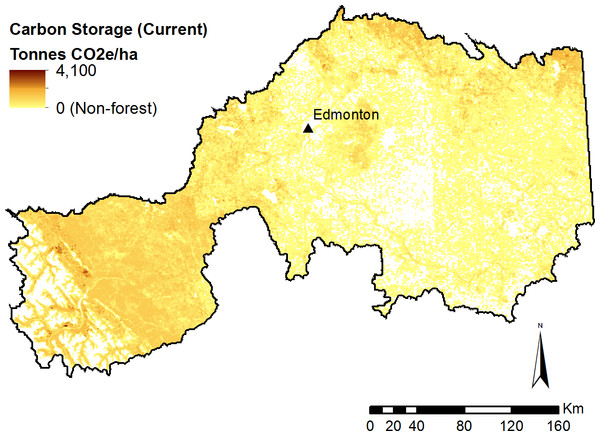 Modelled forest carbon storage under current (2010) landscape conditions.
