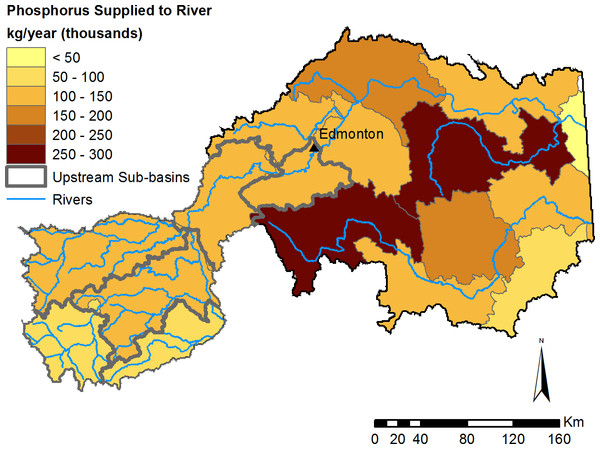 Modelled phosphorus supplied by sub-basins to the river network.