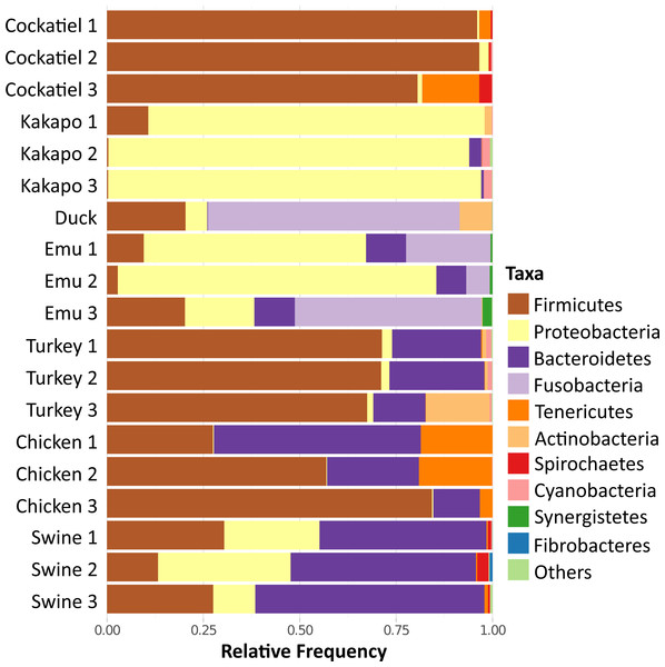 Relative frequency of bacteria in fecal microbiome of selected granivorous and omnivorous birds.