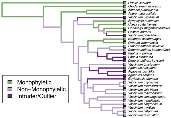 Monophyly plot of the genera of Ericaceae.