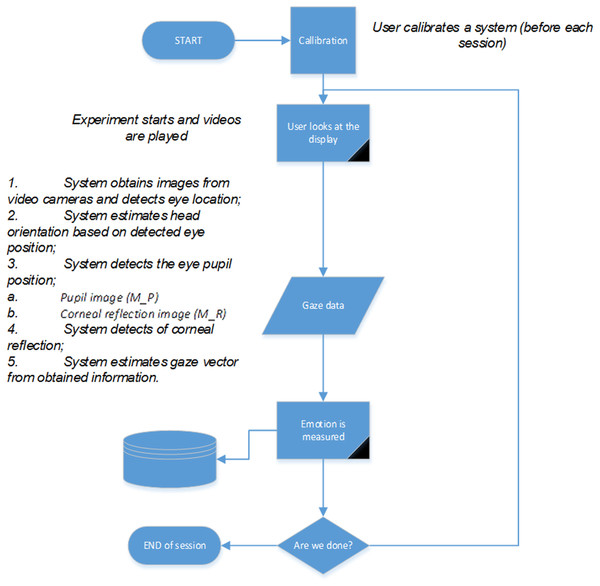System workflow diagram.