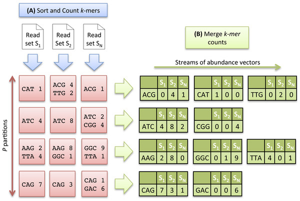Multiset k-mer Counting strategy with k = 3.