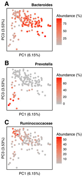 Relative abundances of main genera in HMP gut samples.