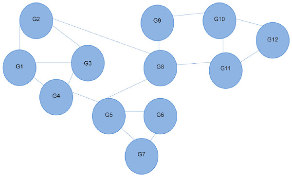 Interaction network of 12 different genes.
