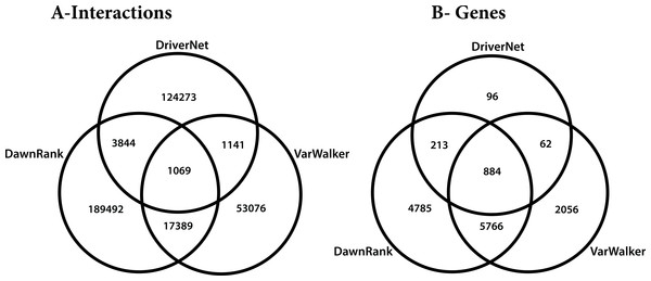 Venn diagram of the 3 networks and how they overlap (A) number of interactions (B) number of genes.