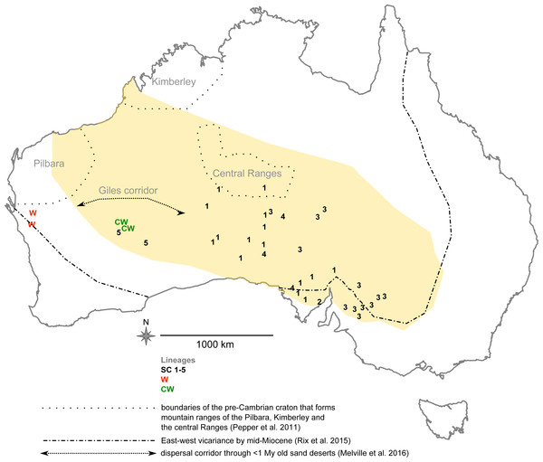 Urodacus yaschenkoi sampling locations across its distribution range (in dark yellow, adapted from Koch, 1977).