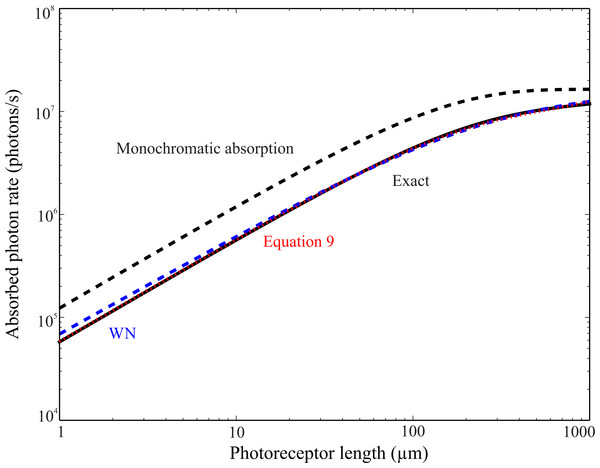 Absorption of blue skylight by UV rhodopsin, NiFa(κ), as a function of length lr.