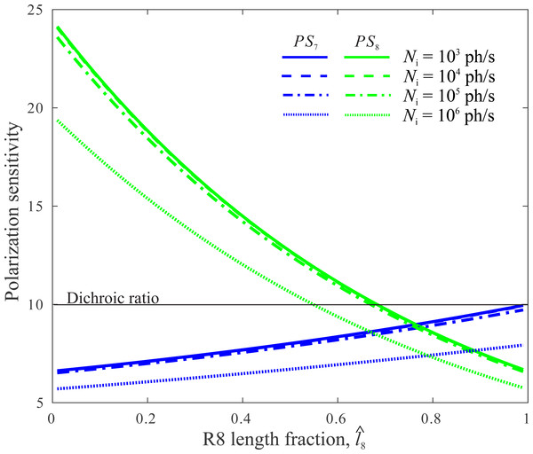 Polarization sensitivities of R7 and R8, PS7 and PS8, depend on division of CRP between R7 and R8, as specified by R8’s length fraction 
                        
                        $\hat {{l}_{8}}$
                        
                           
                              
                                 
                                    
                                       l
                                    
                                    
                                       8
                                    
                                 
                              
                              
                                  ˆ
                              
                           
                        
                     .