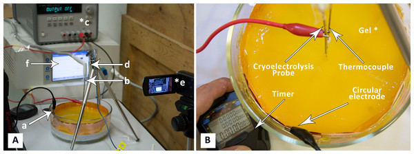 (A) Photograph of experimental system: a, electrode on container surface; b, cryoelectrolysis probe; c, DC power supply; d, thermocouple, e, camera; f, cryosurgery probe pressure monitor; (B) close-up of the gel and electrodes.