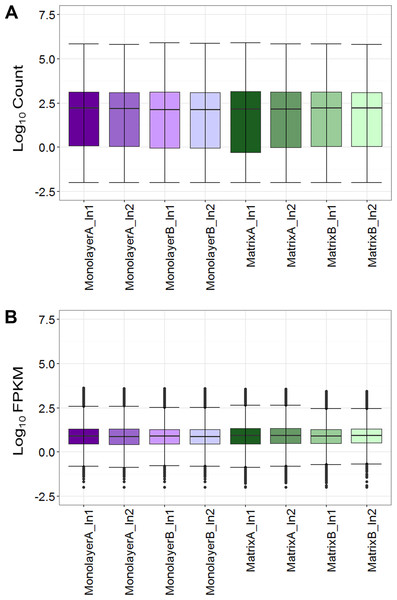  Boxplots of raw RNA-seq alignment counts (A) and thresholded FPKM normalized data (B).