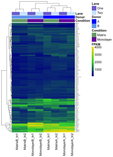 Heatmap with hierarchical clustering for the most expressed genes common to RNASeq datasets from NHA grown in TCPS and in hydrogel environments (n = 115).