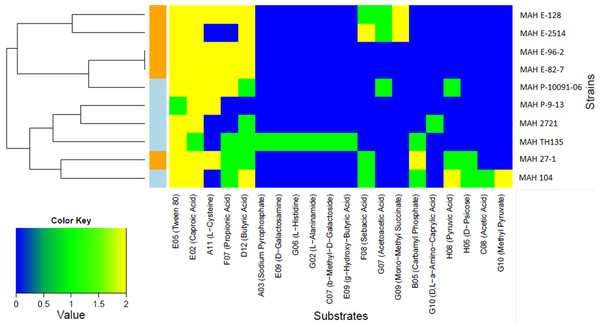 Heatmap showing the 20 substrates that were differently metabolized by the ten MAH isolates analyzed in this study.