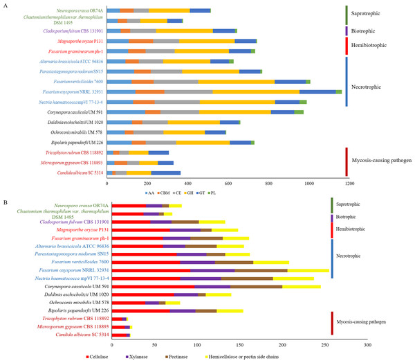 Comparative distribution of CAZymes according to (A) classes of CAZyme module and (B) plant cell wall degrading enzymes.