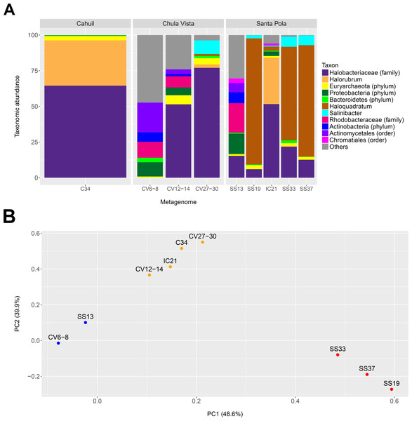 Taxonomic profiles (A) and principal component analysis (B) of selected saltern metagenomes.