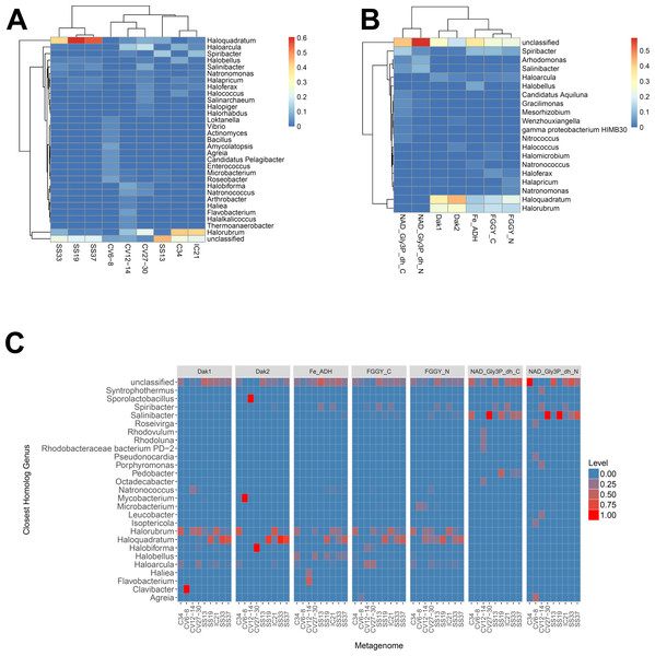 Heat map visualizations of glycerol metabolism taxonomic profiles determined with metAnnotate.