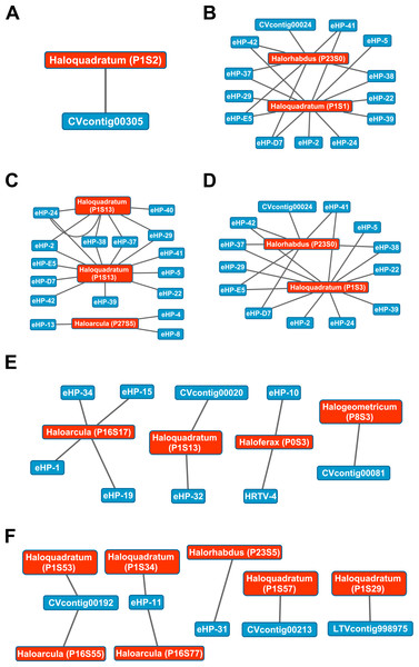 Map of virus-host interactions generated by aligning spacers detected with reference-guided methods in SS13 (A), SS19 (B), SS33 (C), SS37 (D), IC21 (E), and Cahuil/C34 (F).