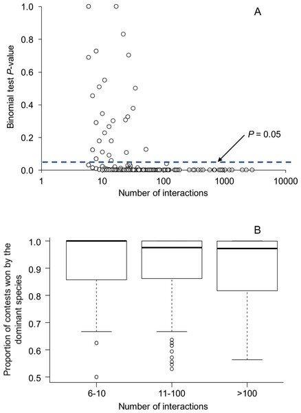 Relationship between the number of aggressive interactions observed between each species pair and (A) binomial test P-values testing for asymmetries in the outcomes of aggressive interactions, and (B) the proportion of aggressive contests won by the dominant species.